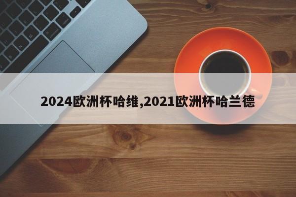 2024欧洲杯哈维,2021欧洲杯哈兰德